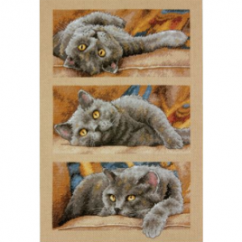 Max The Cat –  Triptych –  Counted Cross Stitch Kit